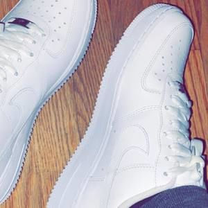 Meet your Posher, Ryder